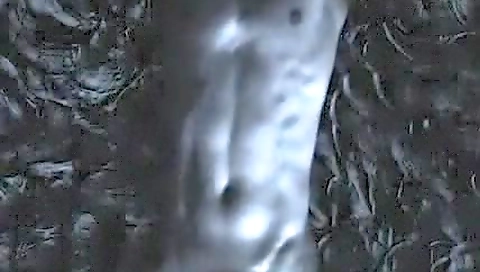 Hot wifey in sexy lingerie shows off her huge black ridicul