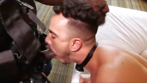 Shaky asso swear with a sexy girl