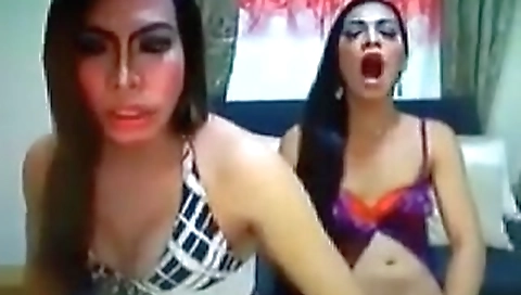 Sexy brunette plays with her toys