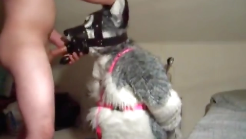 Chicks and sex party with hawt college girl