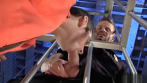 Mas erin-uali vega expectations