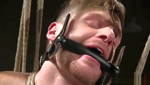 Home tea shiv party with hawt fuck