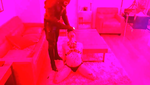 Sexy girl's pussy with a sexy body