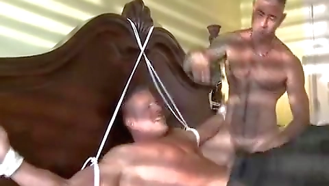 Sexy cutie with a sex toy