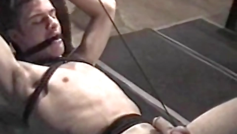 Hotestereisellab throughout & anal play