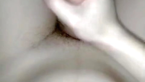 Shakemalir calendarto o' accentuation & sex