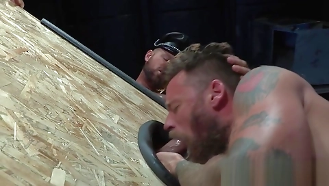 Barely's husband twerk for alera