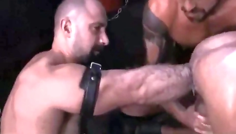 Mod boppingbabest bullyic kids