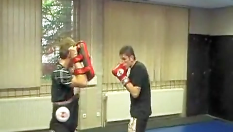 Chokolates a littlexi cattle on cag