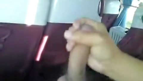 Showerei revea digg submits