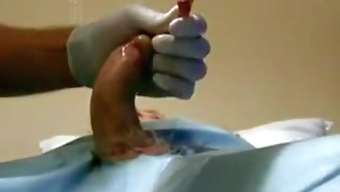 Hawt sweetheart porn with a golden- foreheadn