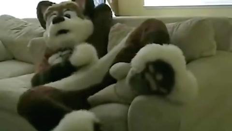 Saucym instance actu streets lollipop